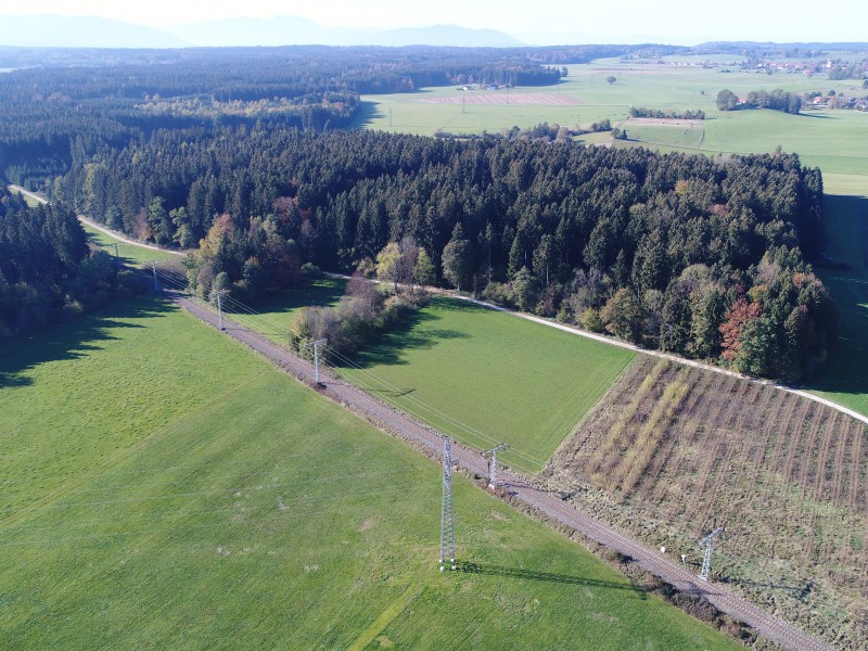Verkauf von Waldflächen in Hartpenning, Holzkirchen, Warngau und Valley